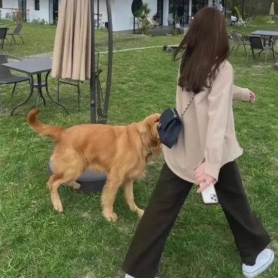 哈啦美容院