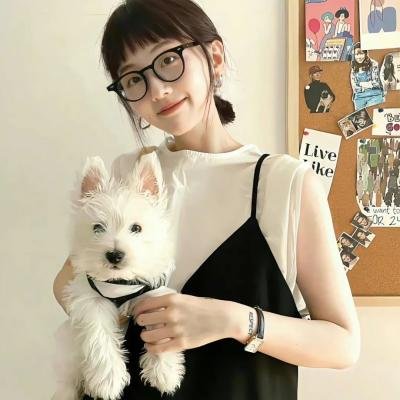 科搜研之女第24季